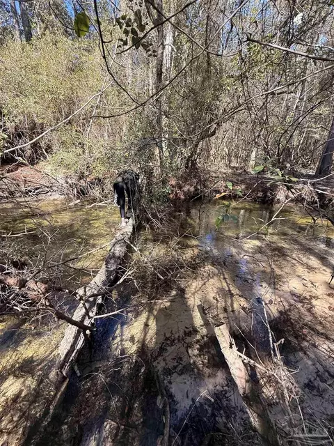 lot21 Creek Bluff Dr, Pace, FL 32571 photo 6