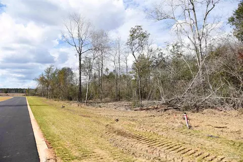 lot21 Creek Bluff Dr, Pace, FL 32571 photo 3
