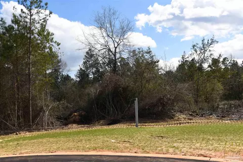 lot10 Brook Crossing St, Pace, FL 32571 photo 4
