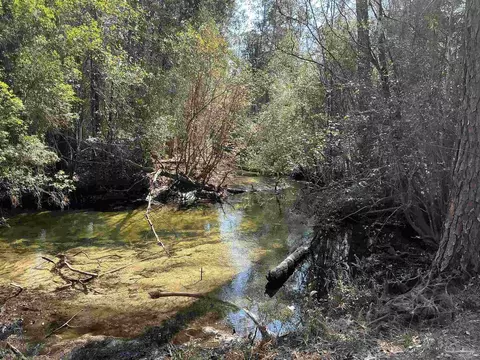 lot10 Brook Crossing St, Pace, FL 32571