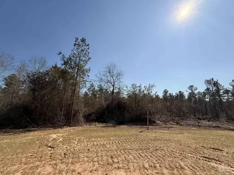lot10 Brook Crossing St, Pace, FL 32571 photo 3