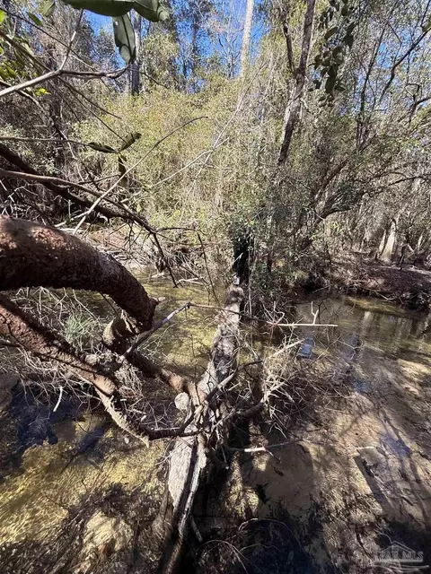 lot20 Creek Bluff Dr, Pace, FL 32571 photo 5