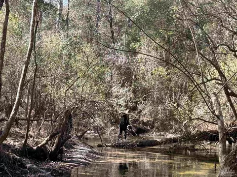 lot9 Brook Crossing St, Pace, FL 32571 photo 6