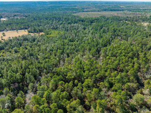 lot9 Brook Crossing St, Pace, FL 32571 photo 17