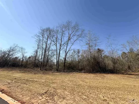 lot19 Creek Bluff Dr, Pace, FL 32571 photo 13