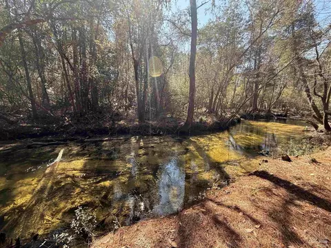 lot19 Creek Bluff Dr, Pace, FL 32571 photo 11