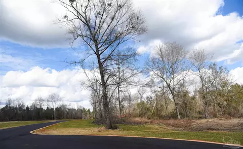 lot12 Brook Crossing St, Pace, FL 32571 photo 3