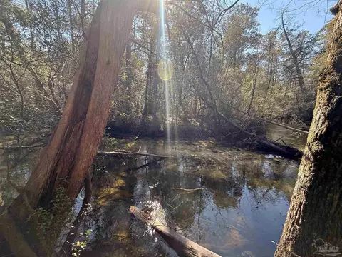 lot18 Brook Crossing St, Pace, FL 32571 photo 8