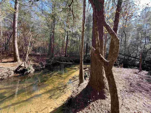lot18 Brook Crossing St, Pace, FL 32571 photo 2