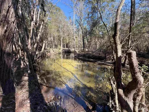lot18 Brook Crossing St, Pace, FL 32571 photo 3