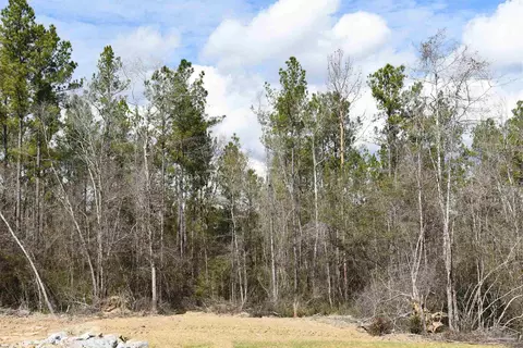 lot17 Brook Crossing St, Pace, FL 32571 photo 9