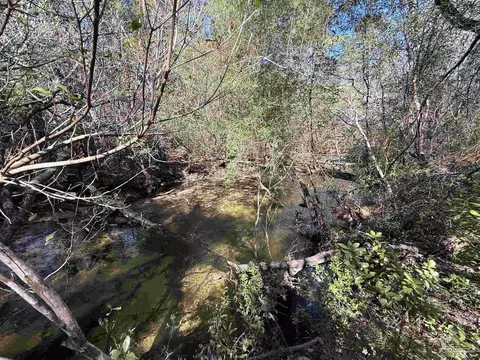 lot17 Brook Crossing St, Pace, FL 32571