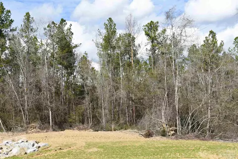 lot17 Brook Crossing St, Pace, FL 32571 photo 6