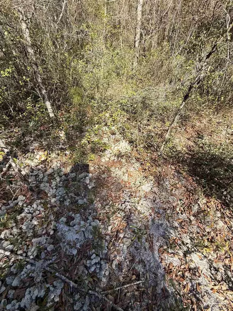lot17 Brook Crossing St, Pace, FL 32571 photo 2