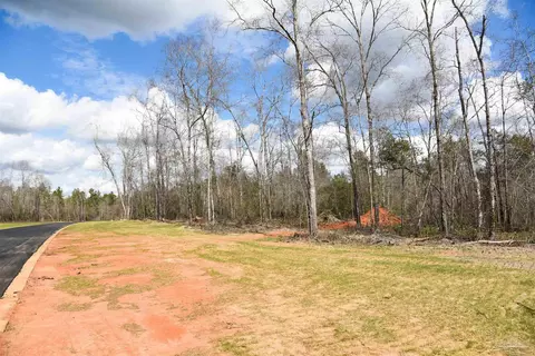 lot13 Brook Crossing St, Pace, FL 32571 photo 2