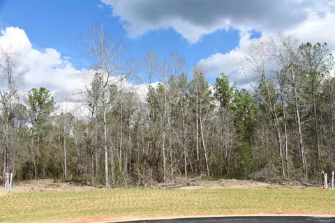 lot16 Brook Crossing St, Pace, FL 32571 photo 2