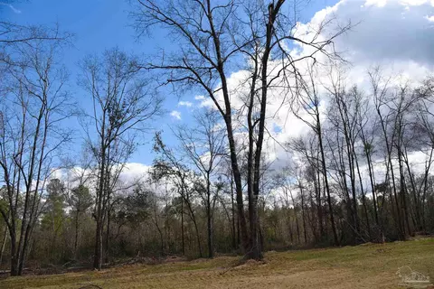 lot14 Brook Crossing St, Pace, FL 32571 photo 2