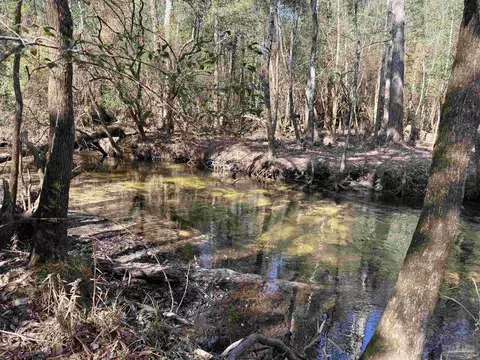 lot15 Brook Crossing St, Pace, FL 32571 photo 5