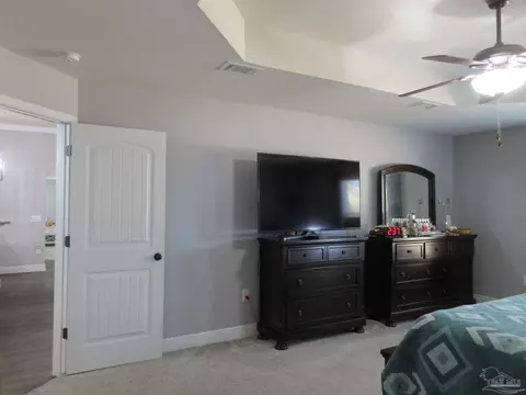 Other - 5554 Mill Race Cir, Pace, FL 32571 photo 10 of 16