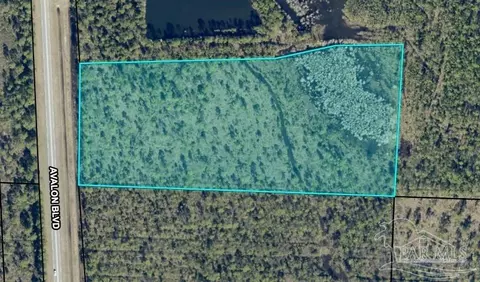 10 95 Acres Avalon Blvd, Milton, FL 32583