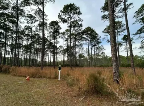 8541 Preservation Dr, Panama City Beach, FL 32413