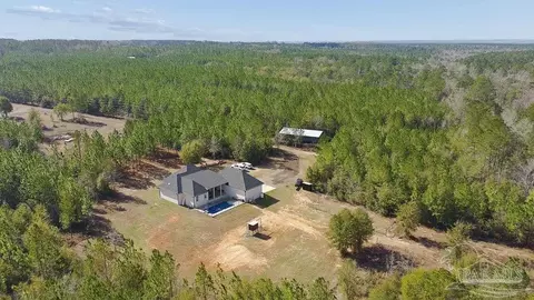 View/Area - 11278 Old Pine Loop Rd, Jay, FL 32565 photo 3 of 4
