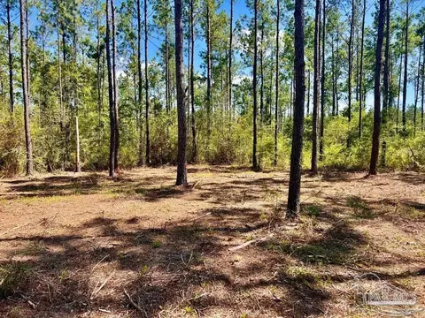lot75 Naturewalk Dr, Jay, FL 32565 photo 2
