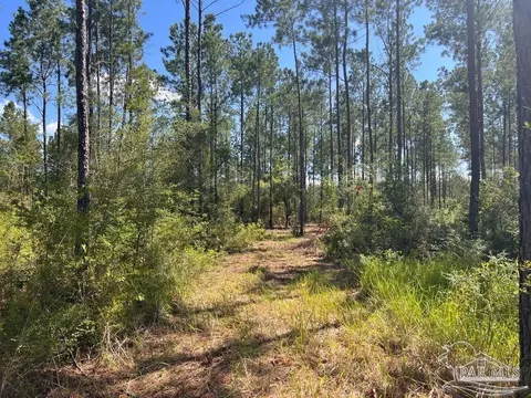 lot75 Naturewalk Dr, Jay, FL 32565 photo 8