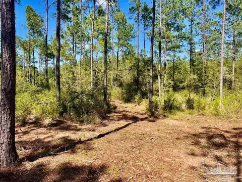 lot75 Naturewalk Dr, Jay, FL 32565 photo 5