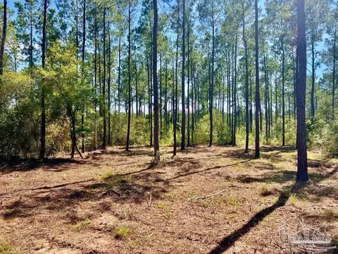lot75 Naturewalk Dr, Jay, FL 32565