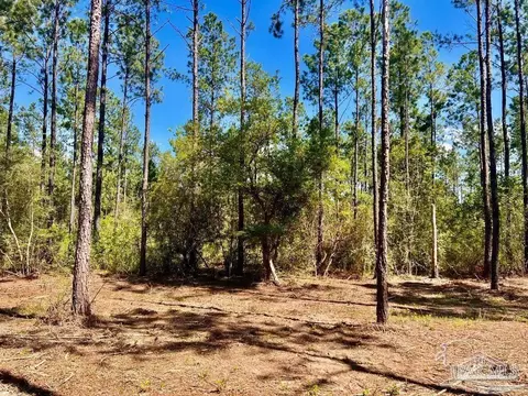 lot75 Naturewalk Dr, Jay, FL 32565 photo 3