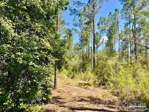 lot75 Naturewalk Dr, Jay, FL 32565 photo 6