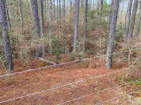 0000 Hwy 4, Jay, FL 32565 photo 22