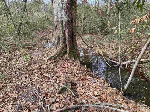 0000 Hwy 4, Jay, FL 32565 photo 31