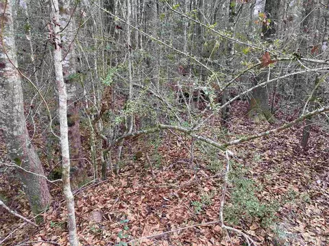 0000 Hwy 4, Jay, FL 32565 photo 36