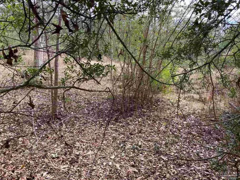 0000 Hwy 4, Jay, FL 32565 photo 30