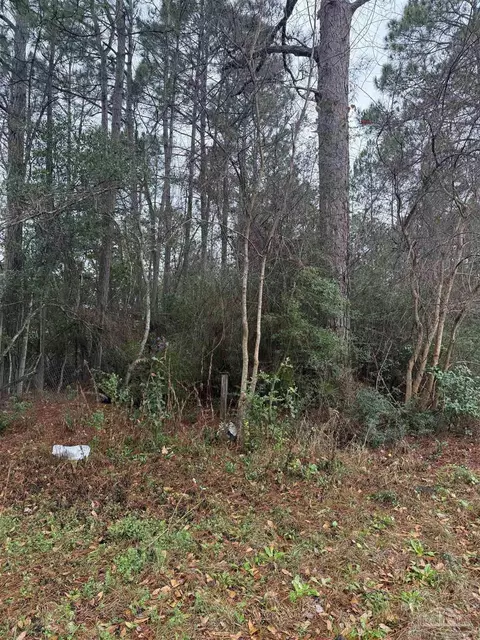300 Blk Mier Henry Rd, Pensacola, FL 32506