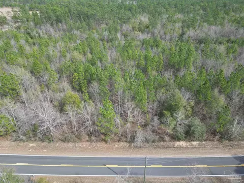 lot3 Walling Rd, Milton, FL 32570 photo 8