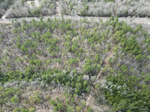 lot3 Walling Rd, Milton, FL 32570 photo 6