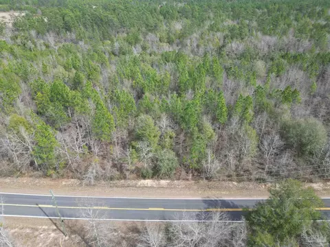 lot3 Walling Rd, Milton, FL 32570 photo 7