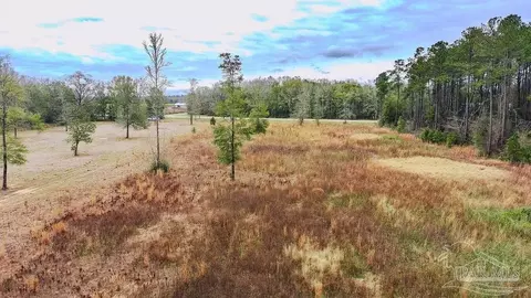 10 Acres Chumuckla Hwy, Pace, FL 32571 photo 16
