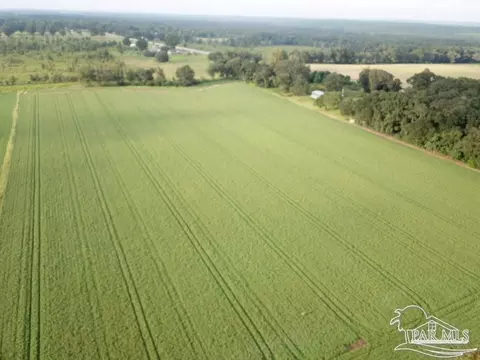 4 Acres Hwy 87, Milton, FL 32570