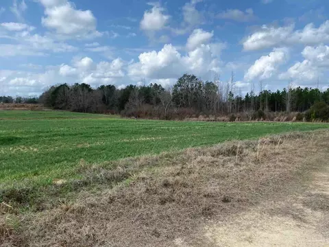 000 Hwy 399, Jay, FL 32565