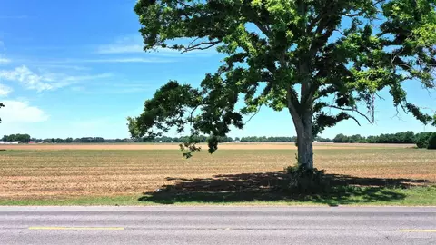 0 Hwy 89, Jay, FL 32565 photo 8
