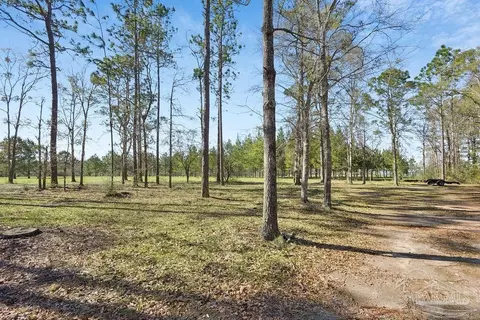 Exterior - 2510 Thomas Mccall Ln, Mcdavid, FL 32568 photo 6 of 13