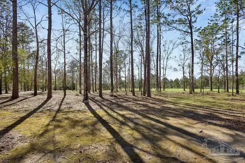 Exterior - 2510 Thomas Mccall Ln, Mcdavid, FL 32568 photo 5 of 13