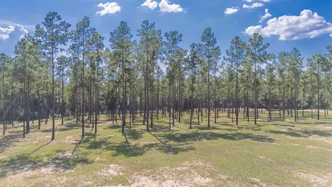 7047 Hidden Forest Trl, Pace, FL 32571 photo 5