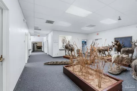 Entry Way - 2828 Harvest Rd, Jay, FL 32565 photo 3 of 3