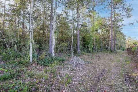 Upland Dr, Cantonment, FL 32533 photo 8
