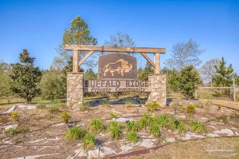 lot42 Buffalo Ridge Rd, Pace, FL 32571
